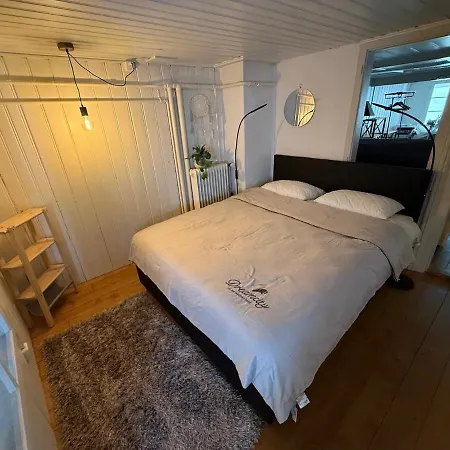 Old Town Oasis With 4 Beds, Balcony & Office Thun